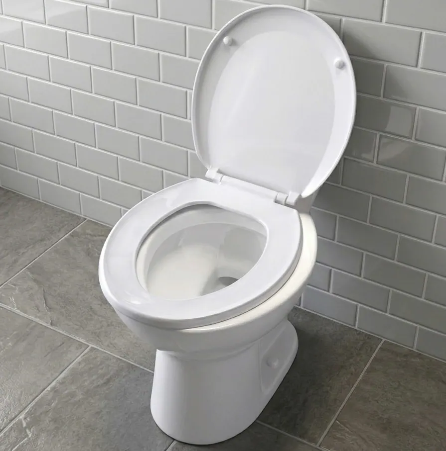 Toilet Repair in Wolverton